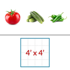 Tomatoes - Cucumbers - Peppers 4' x 4' LED Grow Light Lighting Kit