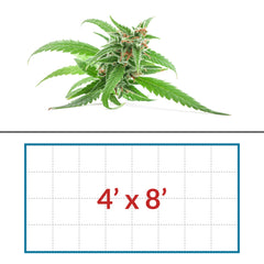 Cannabis 4' x 8' LED Grow Light Lighting Kit