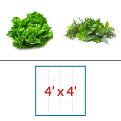 Lettuce - Herbs 4' x 4 LED Grow Light Lighting Kit