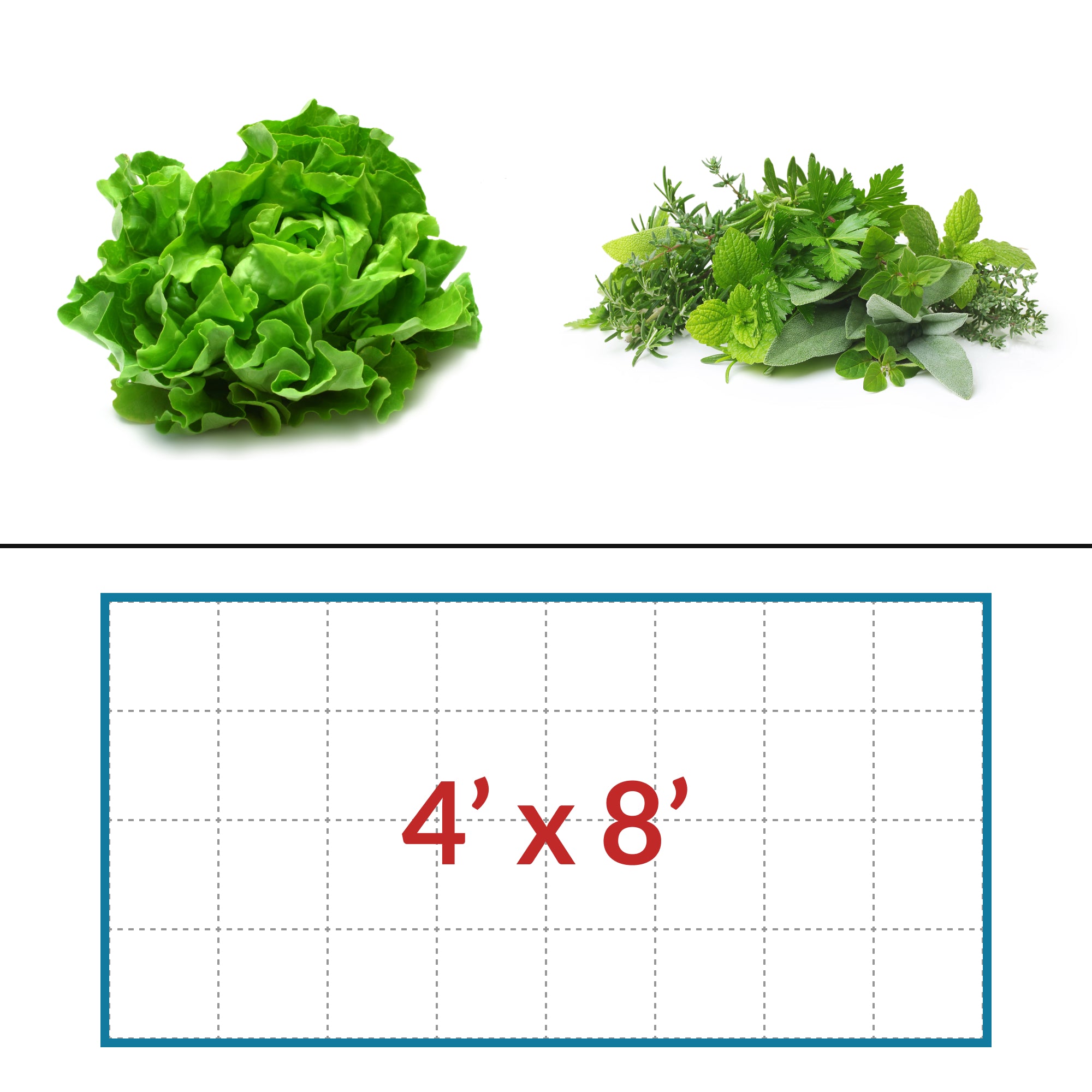 Lettuce - Herbs 4' x 8' LED Grow Light Lighting Kit