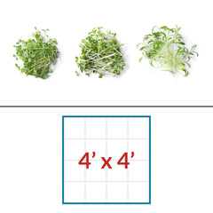 Microgreens 4' x 4' LED Grow Light Lighting Kit