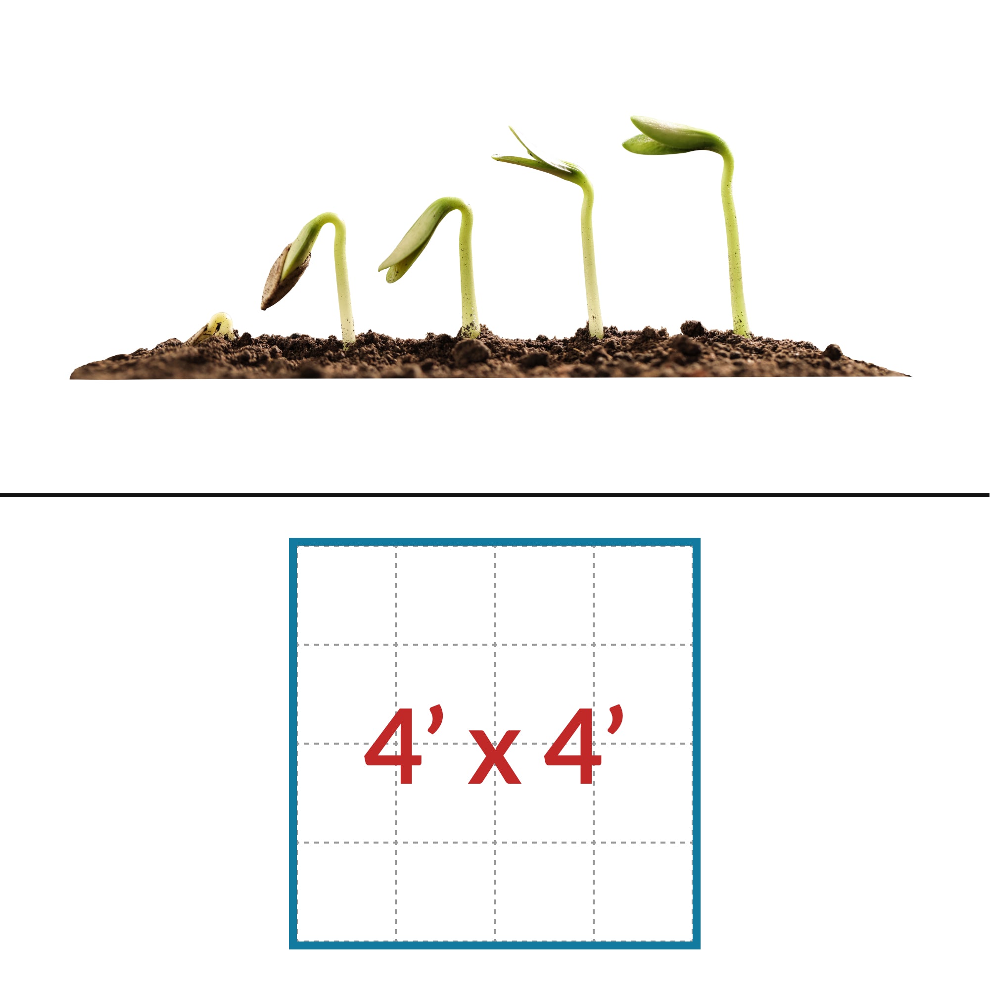 Seedlings 4' x 4' LED Grow Light Lighting Kit