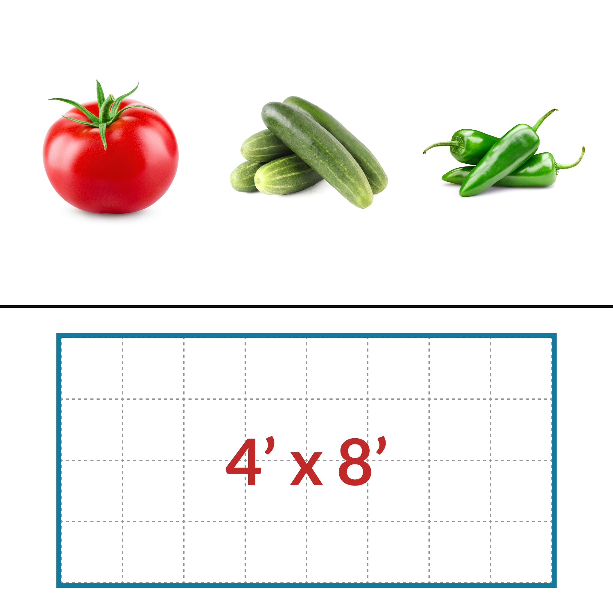 Tomatoes - Cucumbers - Peppers 4' x 8' LED Grow Light Lighting Kit